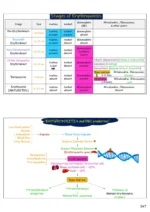 Medical Gateway Lecture Notes 1st Year MBBS 3rd Edition | Original Notes Book - Image 3