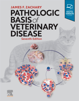 Pathologic Basis of Veterinary Disease 7th Edition Premium Multicolor Matte Print Pathologic Basis of Veterinary Disease 7th Edition Premium Multicolor Matte Print